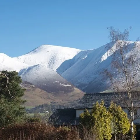 Views from rooms 4 and 6