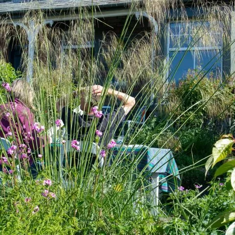 Sunny breakfast in the garden