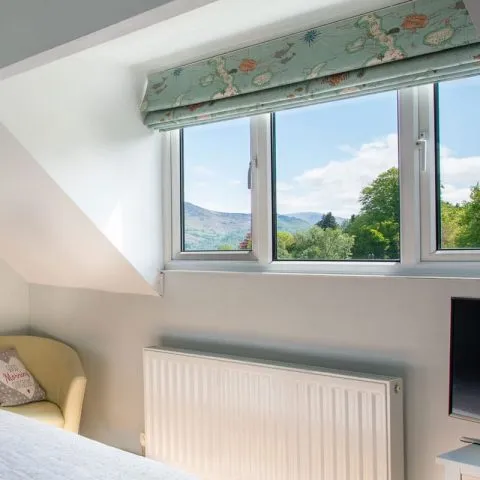 Room 5 with a view